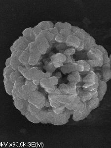 図2　噴霧熱分解法で合成されたLiMn2O4ナノ構造粒子およびナノ粒子